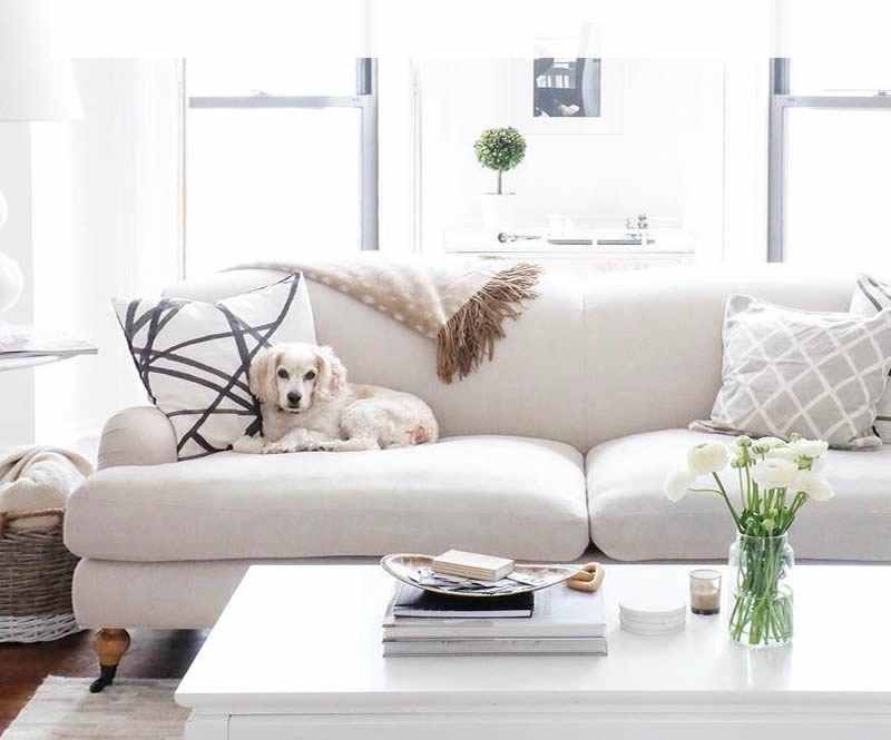 Evcil Hayvan Dostu (Pati Dostu) Kumaş Özellikleri